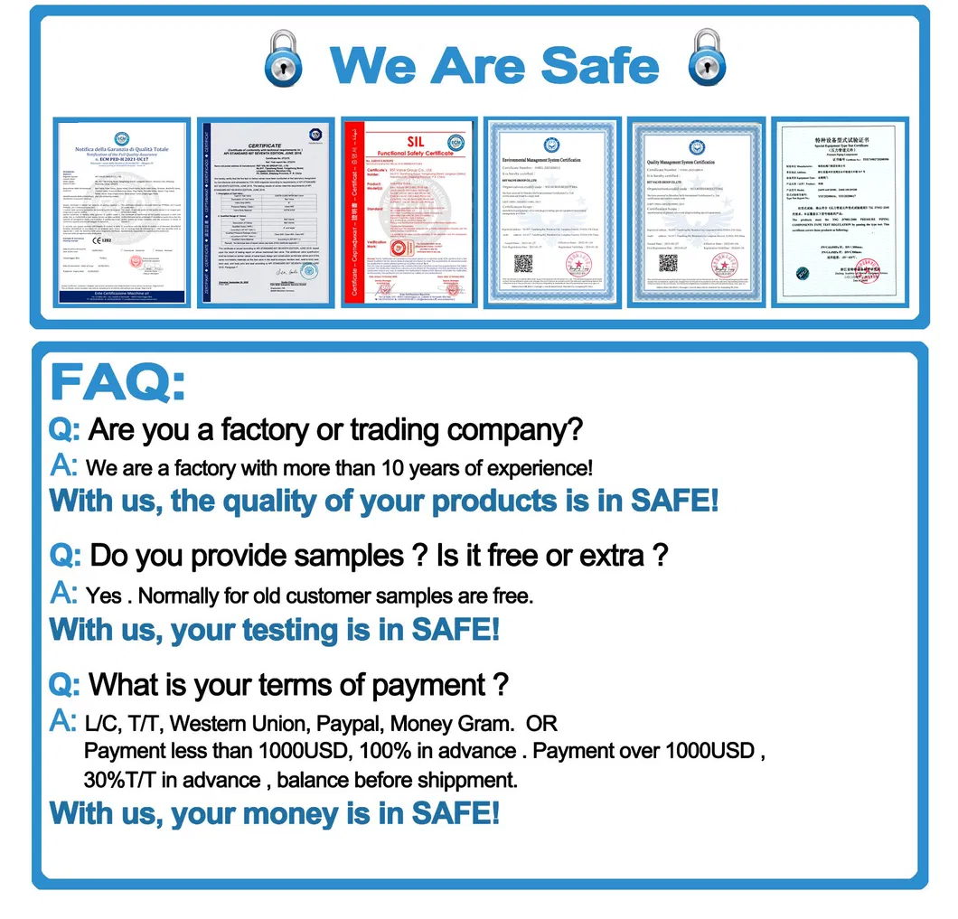 Cast Stainless Steel/Ss Spring Thread 3PC Check/Non Return Valve
