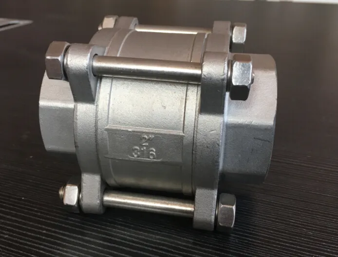 Cast Stainless Steel/Ss Spring Thread 3PC Check/Non Return Valve