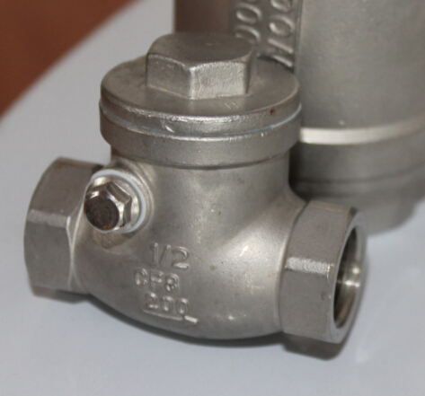 Cast Stainless Steel/Ss Spring Thread 3PC Check/Non Return Valve