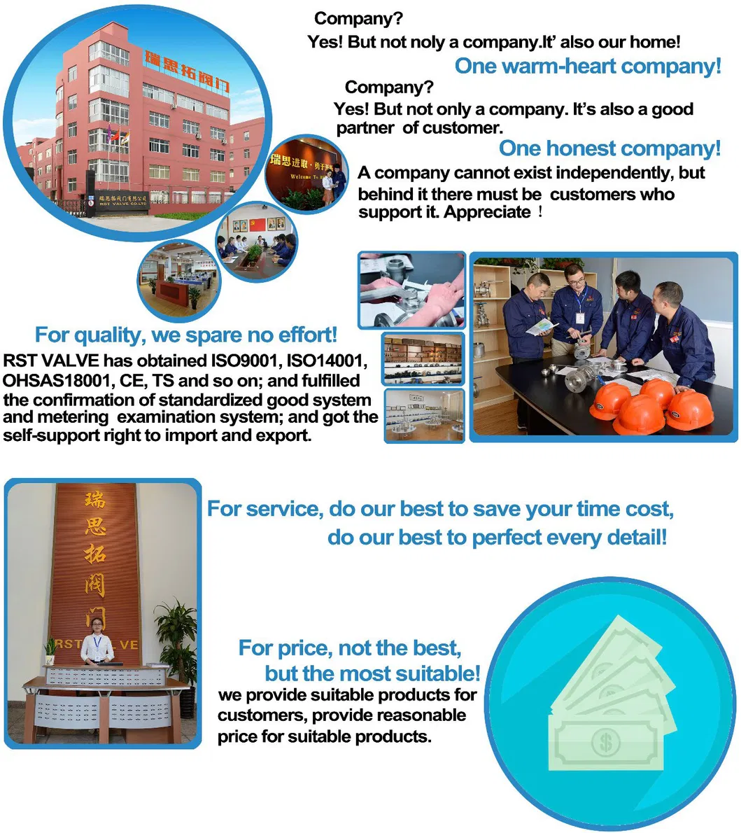 Cast Stainless Steel/Ss Spring Thread 3PC Check/Non Return Valve