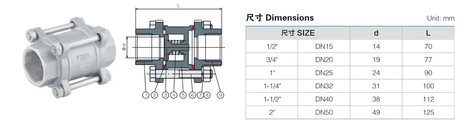 Cast Stainless Steel/Ss Spring Thread 3PC Check/Non Return Valve