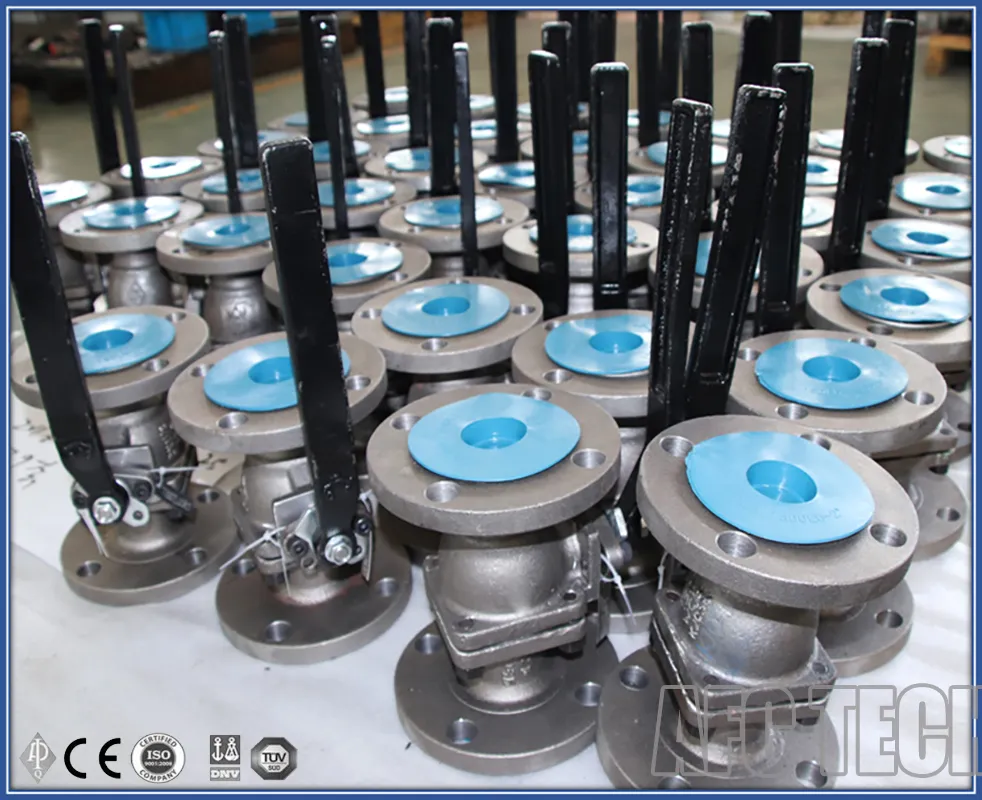 Cast Steel Floating Ball Valve