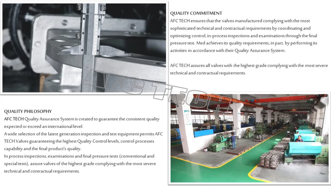 Cast Steel Floating Ball Valve