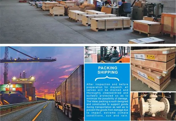 Cast Steel OS&Y Globe Valve, Manual Operated, Flange Connection