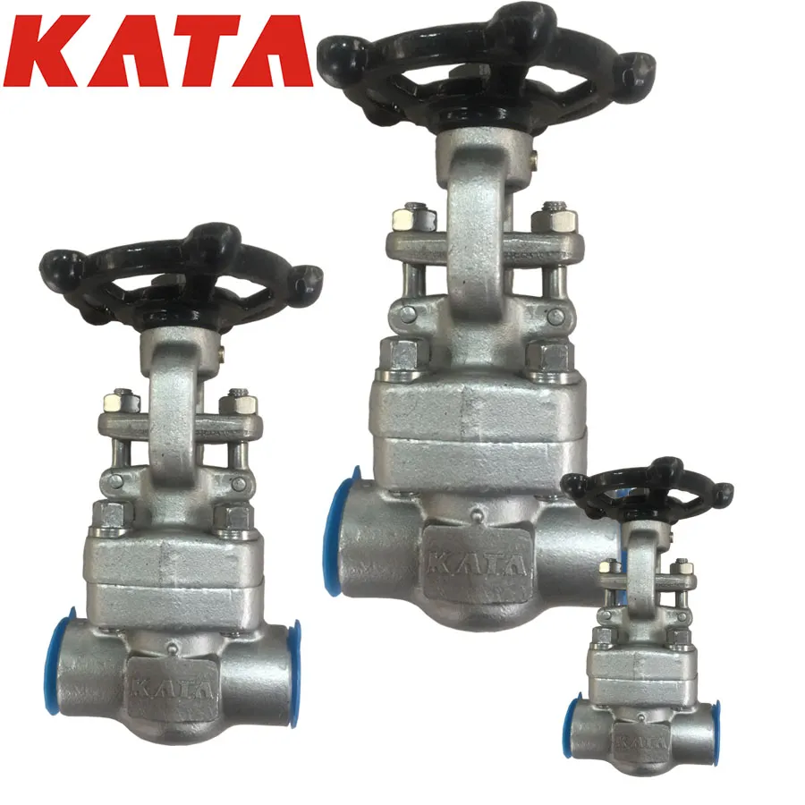 CE/ISO9001/ISO14001 Forged Stainless Steel F316 Reduced Bore Socket Welded Gate Valve