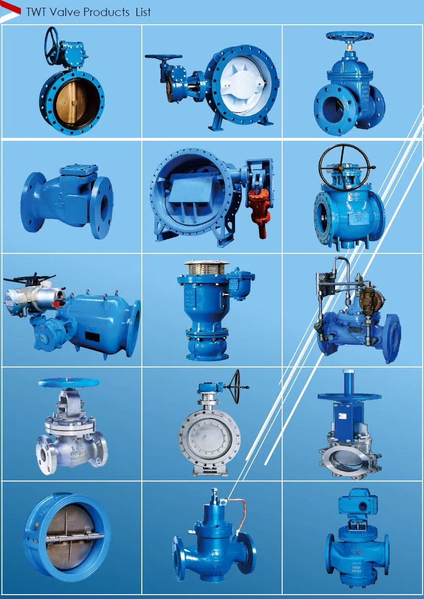 China 65 Years Factory Gate Valve/Air Relief Valve /Half Ball Valve/Non-Return Valve/Butterfly Valve