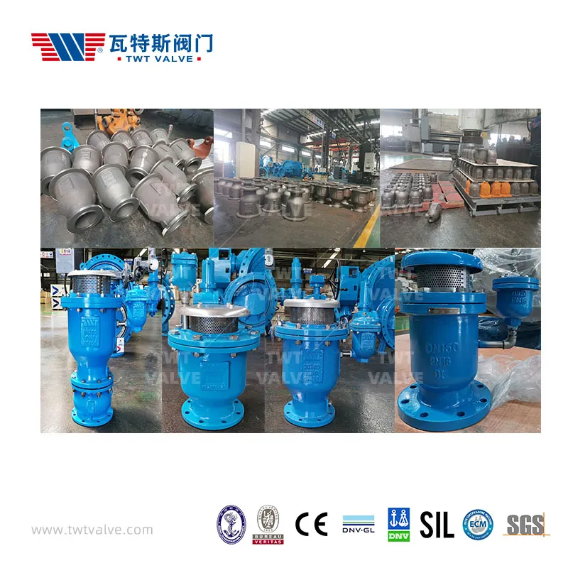 China 65 Years Factory Gate Valve/Air Relief Valve /Half Ball Valve/Non-Return Valve/Butterfly Valve