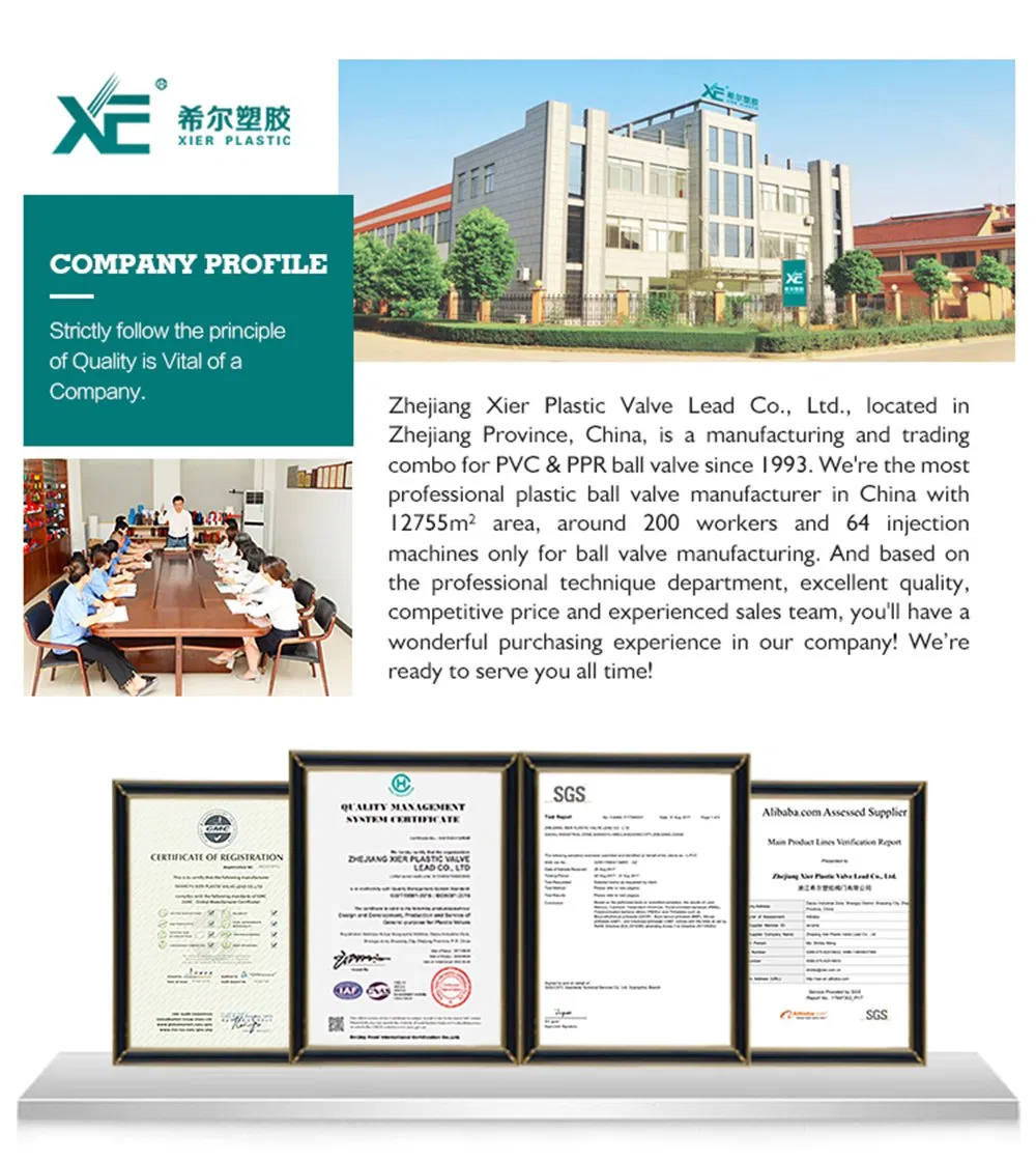 China High Quality Red Xe PVC Cns Standard Pump New Foot Valve