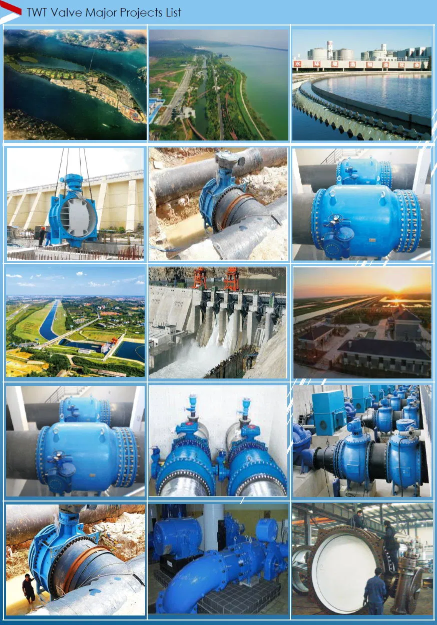 China Hot Sale Butterfly Valve/Gate Valve/Semi Ball Valve/Air Relief Valve/Y Strainer/Needle Valve