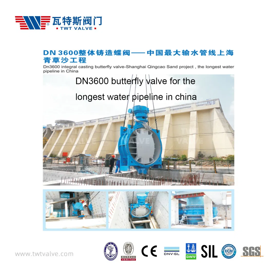 China Hot Sale Butterfly Valve/Gate Valve/Semi Ball Valve/Air Relief Valve/Y Strainer/Needle Valve