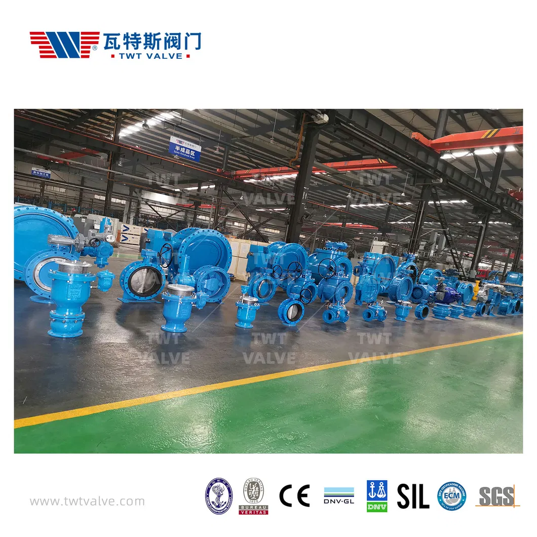 China Hot Sale Butterfly Valve/Gate Valve/Semi Ball Valve/Air Relief Valve/Y Strainer/Needle Valve