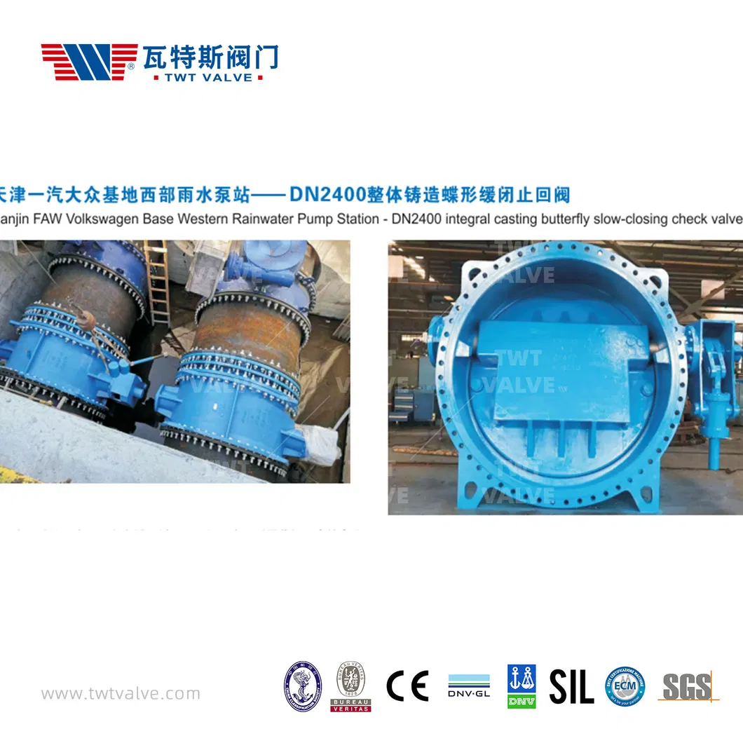 China Hot Sale Butterfly Valve/Gate Valve/Semi Ball Valve/Air Relief Valve/Y Strainer/Needle Valve