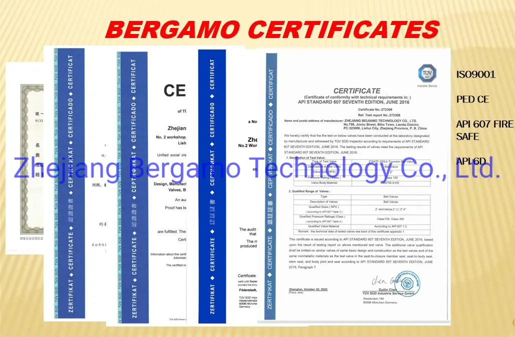 China Manufacture Cast Steel/Stainless Steel Big Size API/DIN/ Electric /Gear Gate Valve