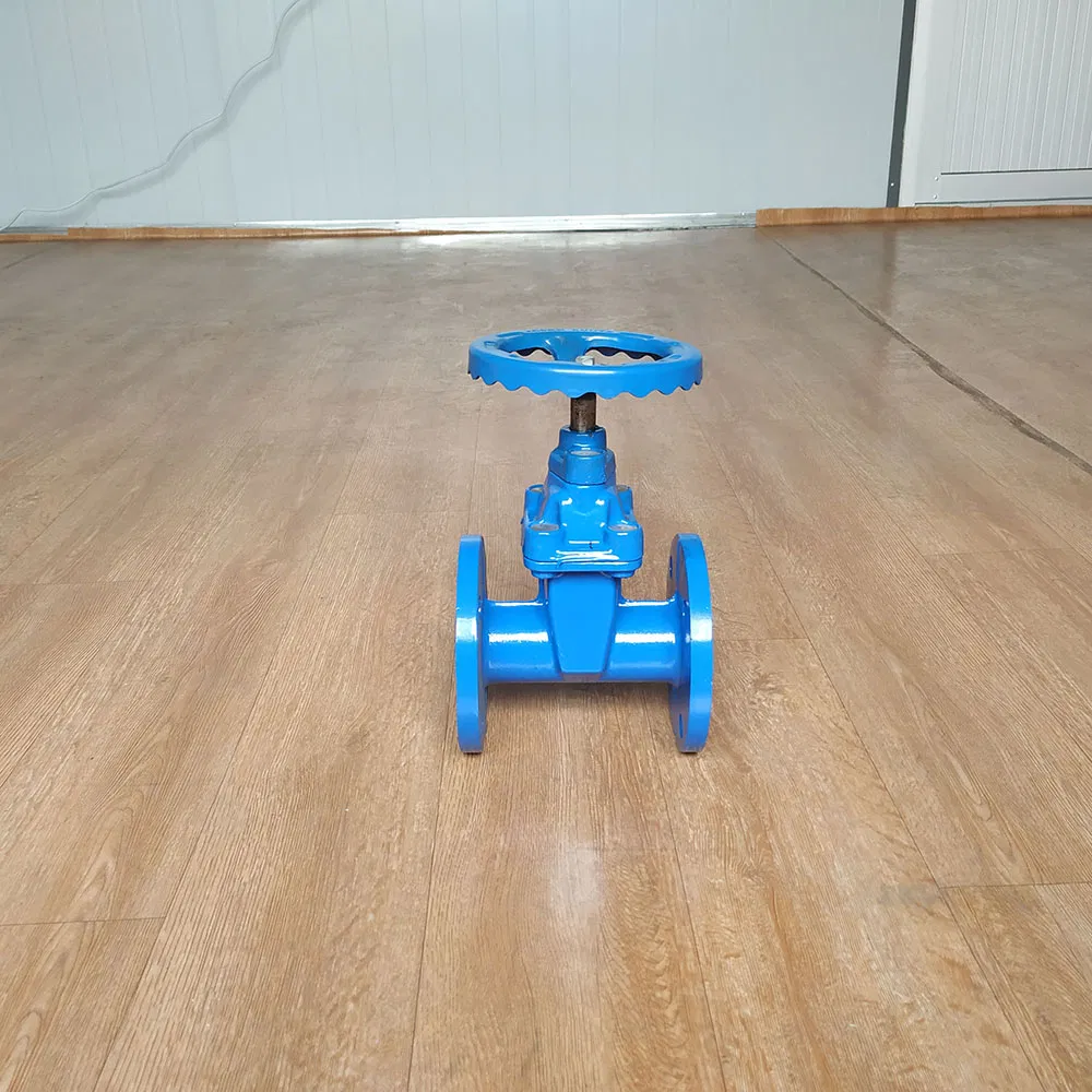 China Supplier Wholesale 24 Inch Signal Gate Valve