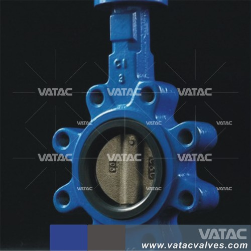 Ci /Di/Wcb/Lcb NBR/EPDM Seated Full Lug Butterfly Valve