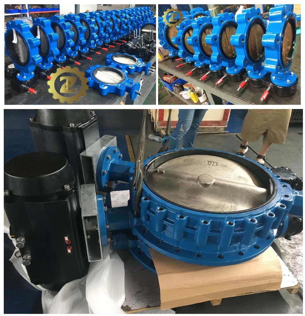 Ci Gear Operated Wafer Butterfly Valve
