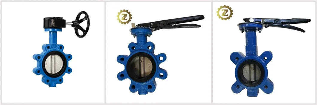 Ci Gear Operated Wafer Butterfly Valve