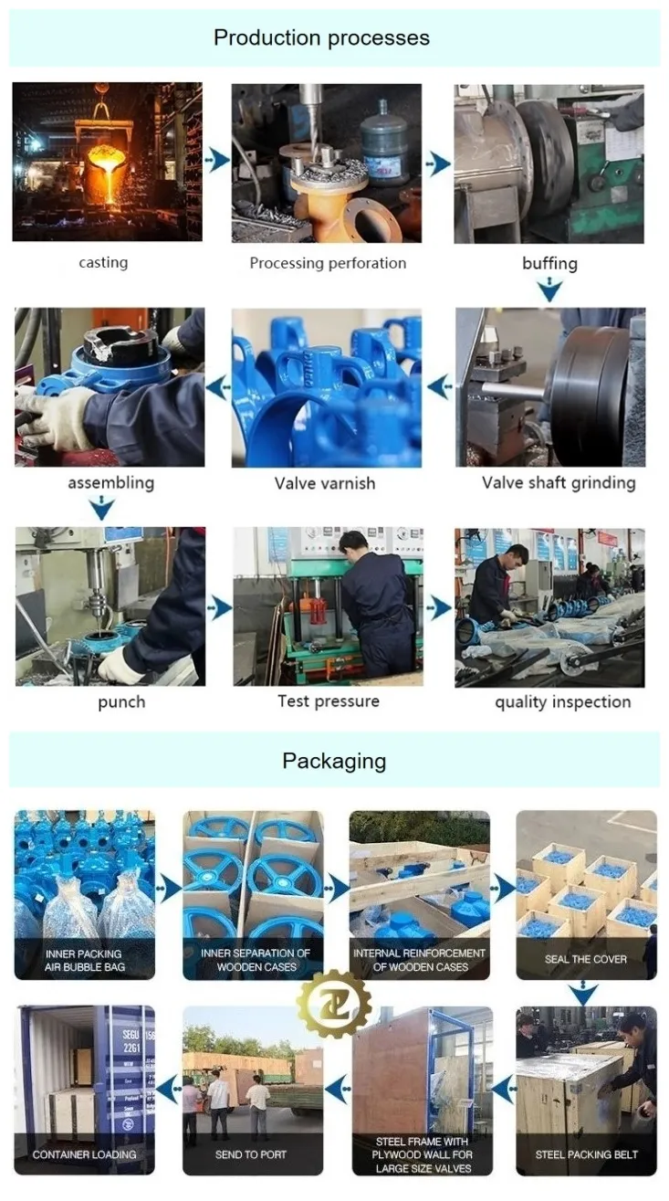 Ci Gear Operated Wafer Butterfly Valve