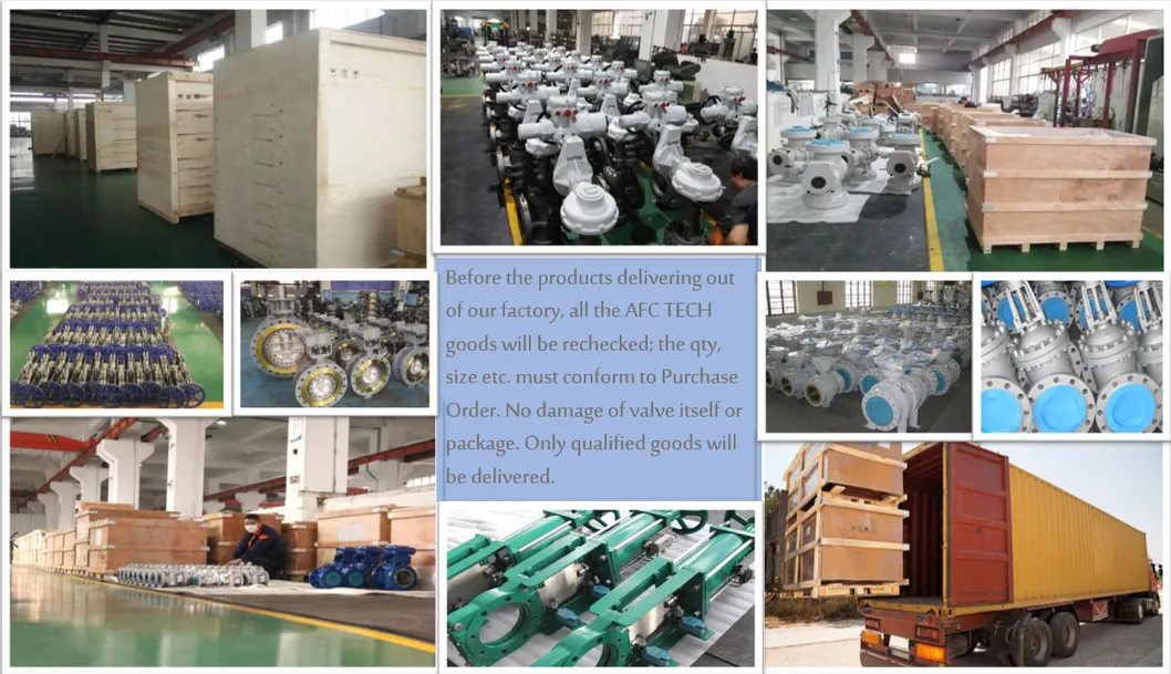 Class 600 Lift Type Flanged Forged Steel Check Valve