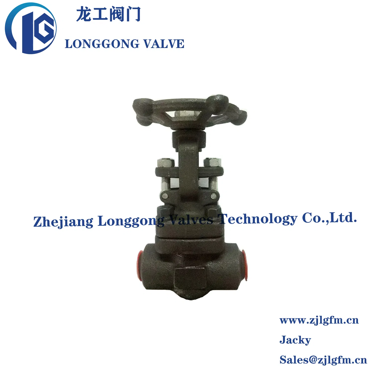 Class 800-2500 Forged Steel Gate Valve Bw/Sw/NPT A105/F11/ F22 /F91