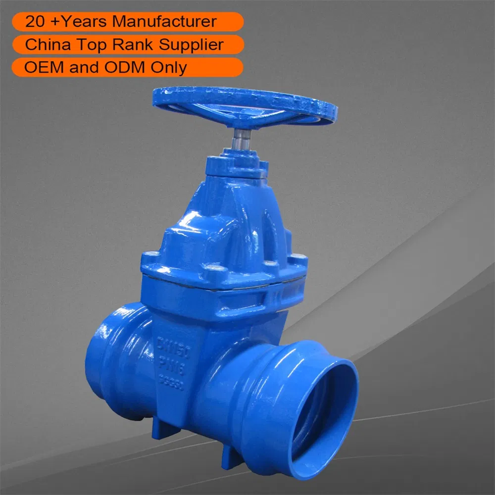 DIN F4 Big Pinch Valve 