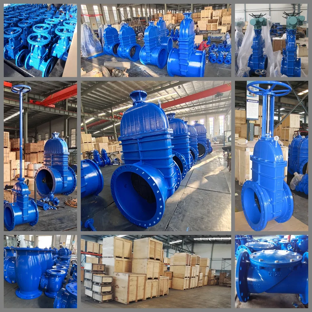 DIN F4 Big Pinch Valve 