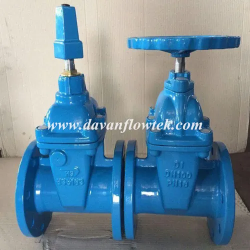 DN100 Pn16 EPDM Seal Cast Iron Gate Valve DN80 Pn16