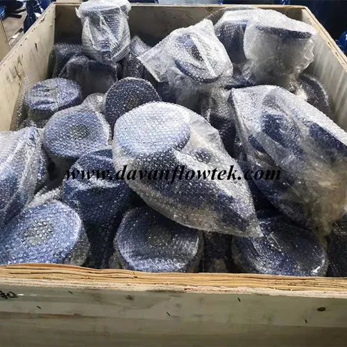 DN100 Pn16 EPDM Seal Cast Iron Gate Valve DN80 Pn16