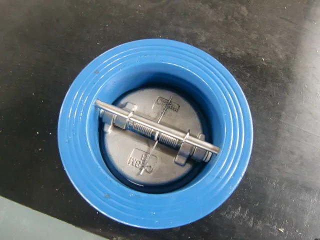 DN40~DN800 Cast Iron Steel Wafer Type Dual Plate Check Valve