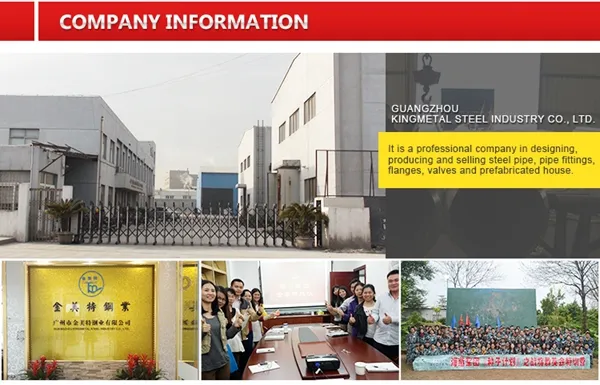 DN40~DN800 Cast Iron Steel Wafer Type Dual Plate Check Valve