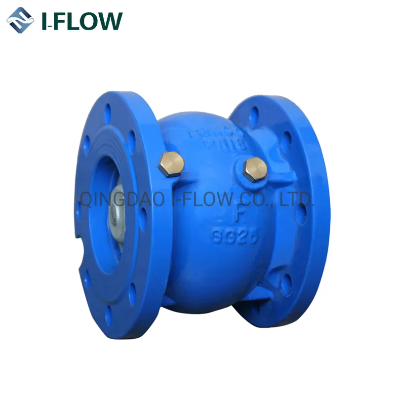 Ductile Iron Foot Valve with Stainless Steel Screen Vertical Type Check Valve
