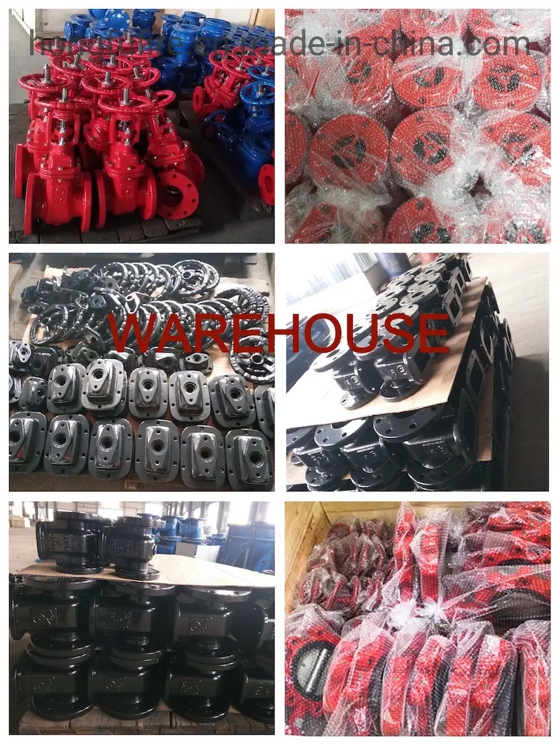 Ductile Iron Quick Automatic Air Pressure Release Valve