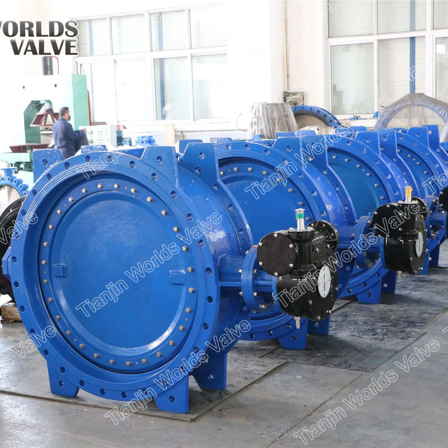 Eccentric Offset Double Flanged Butterfly Valve En558 Series 13 and 14
