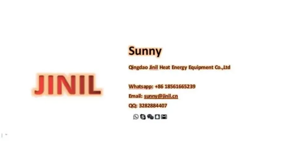 Electromagnetic Gas Valve Solenoid Valve for Combustion Equipments