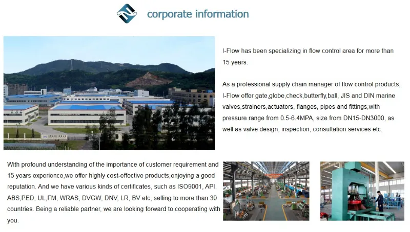 En593 Pn10/Pn16 Double Flange Butterfly Valve