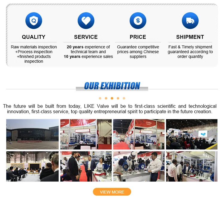 Epoxy Resin Sprayed Blue Pn6 DN25 DN500 Butterfly Valve with Handle