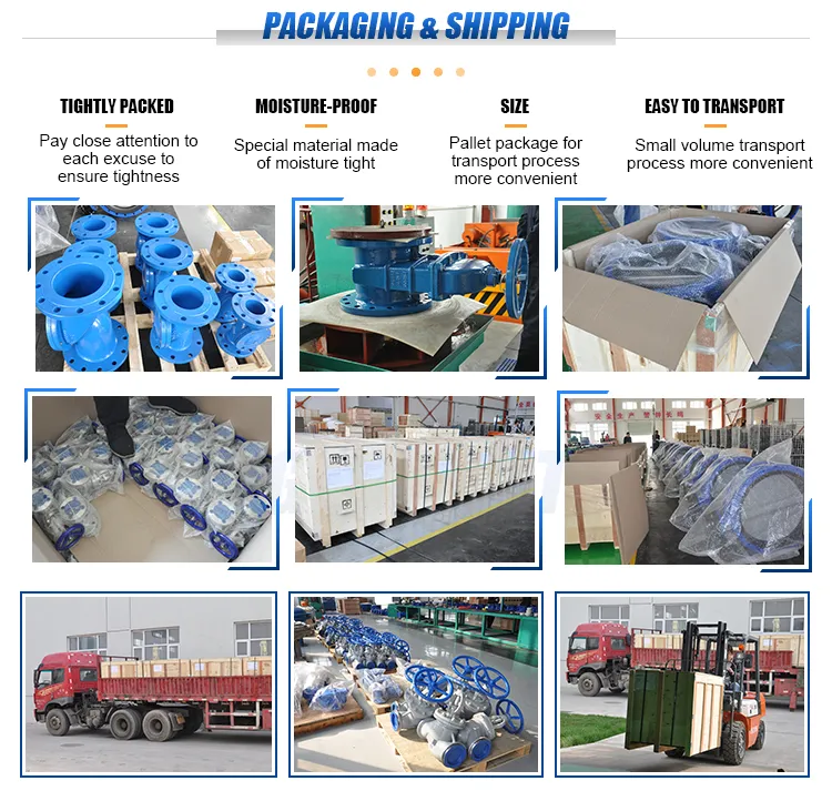 Epoxy Resin Sprayed Blue Pn6 DN25 DN500 Butterfly Valve with Handle