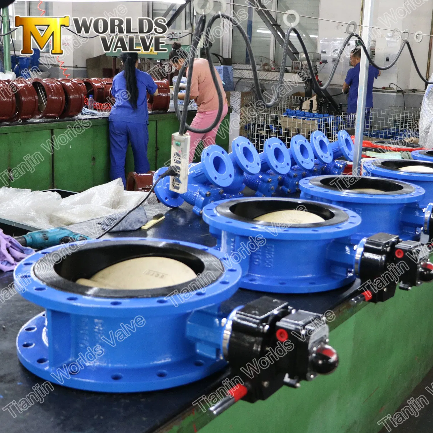Flange Connection API/DIN/ En593 /Awwa Butterfly Valve with Gearbox Worm Gear