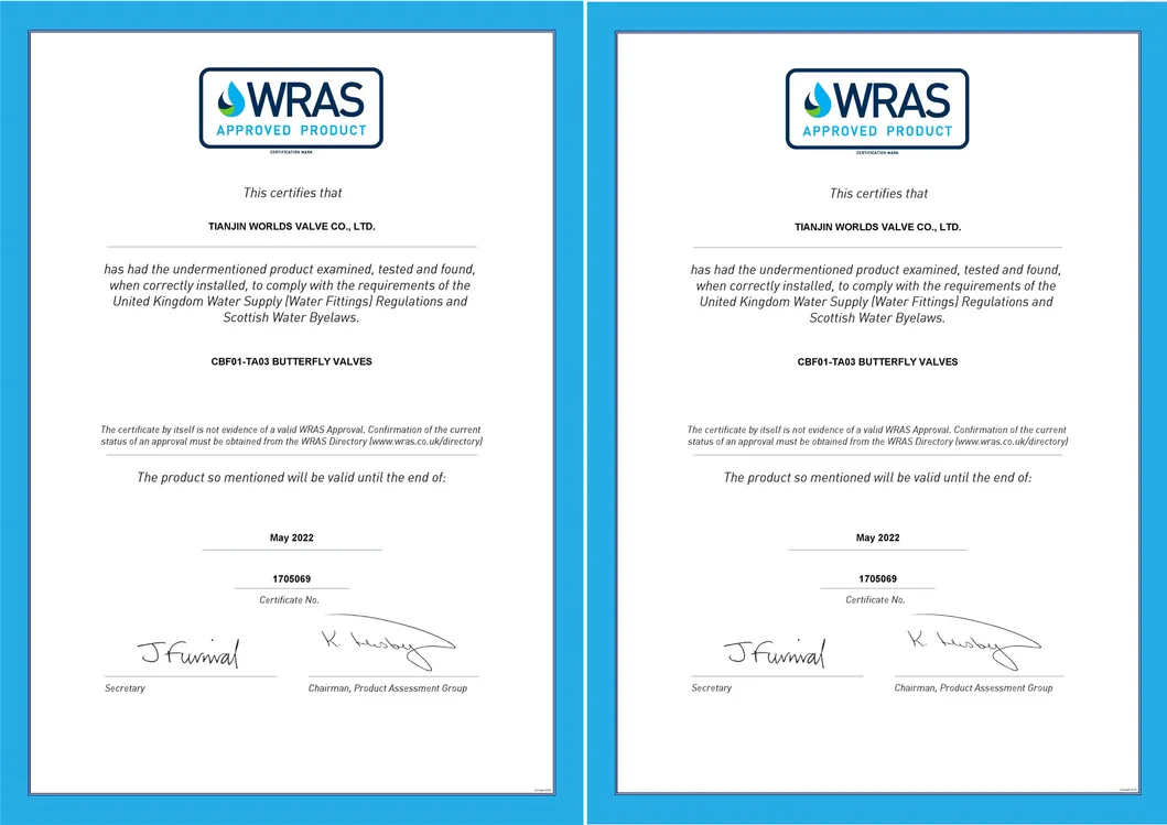 Flange Connection API/DIN/En593/Awwa Butterfly Valve with Gearbox Worm Gear