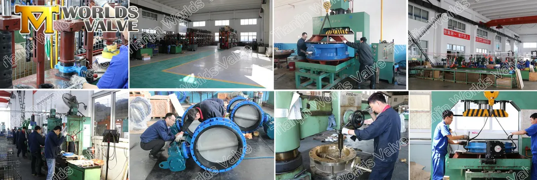 Flange Connection API/DIN/En593/Awwa Butterfly Valve with Gearbox Worm Gear