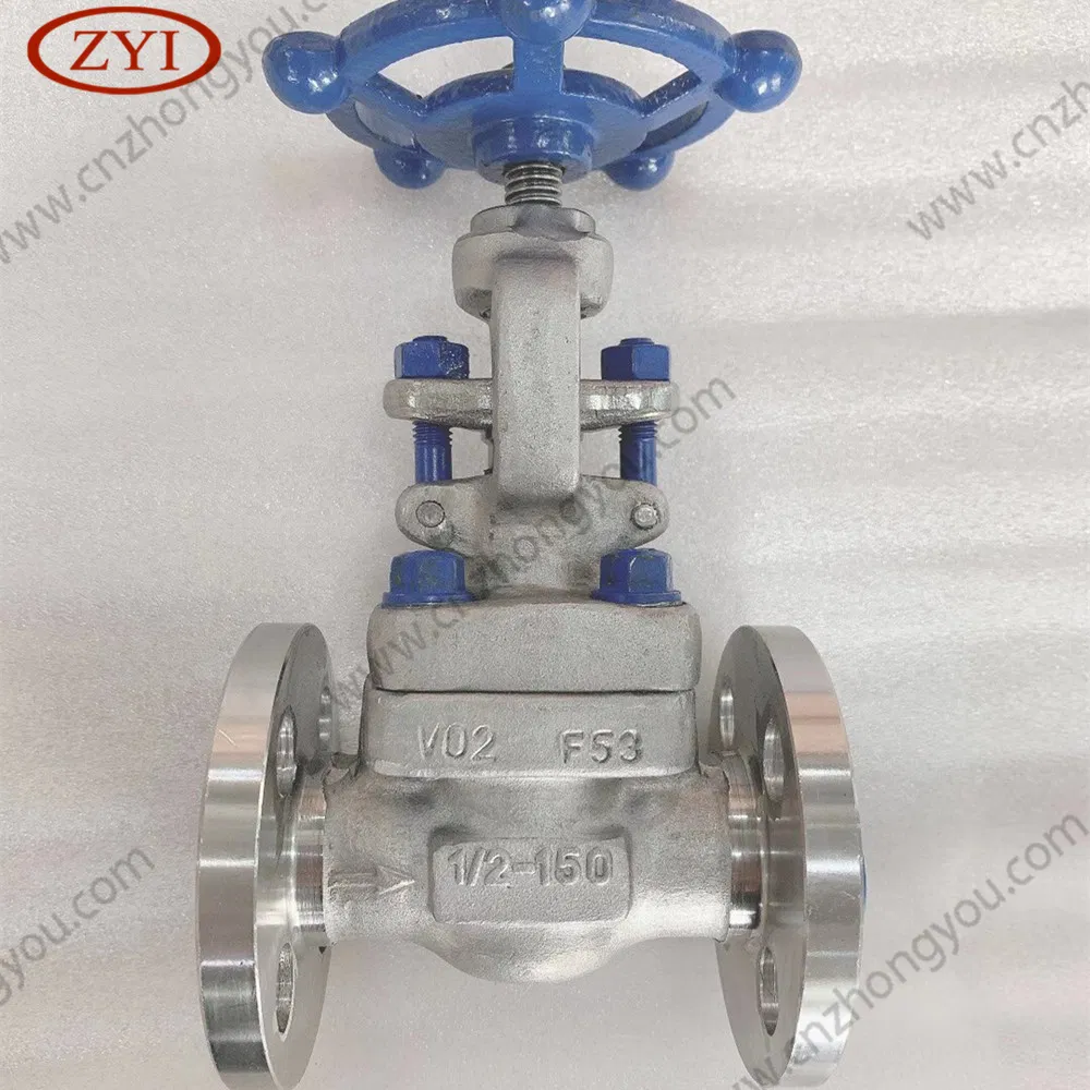 Flange DN15 Pn16 F304L Forged Gate Valve