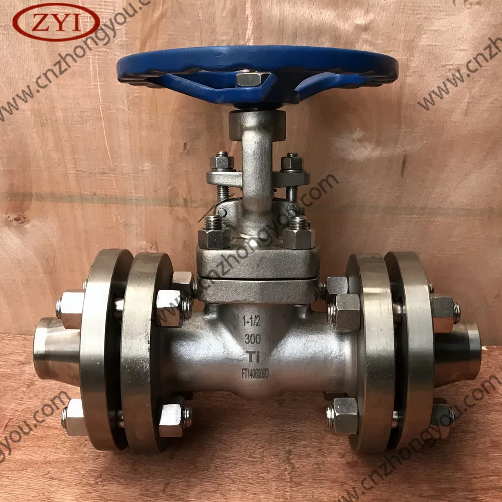 Flange DN15 Pn16 F304L Forged Gate Valve