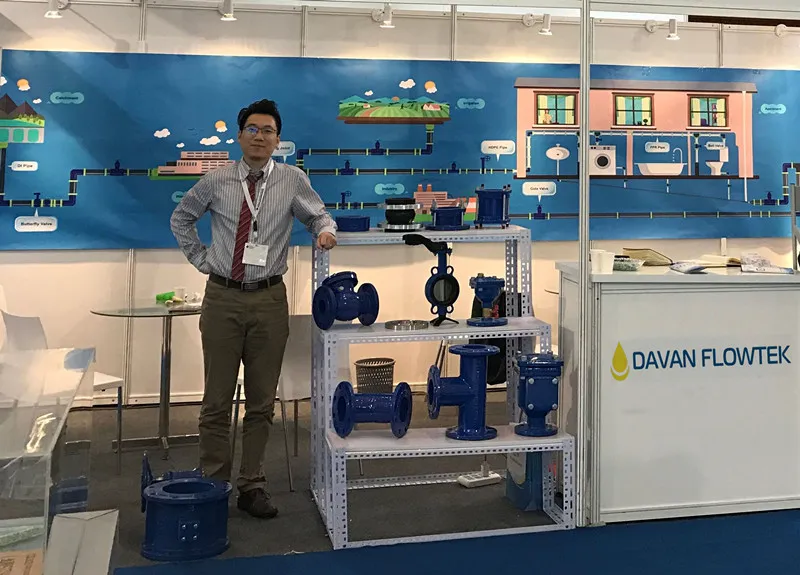 Flanged Wafer Lug Ggg40 Ductile Cast Iron DN300 Pn16 En1092 Water Double Flange Blue Gear Operated Butterfly Valve