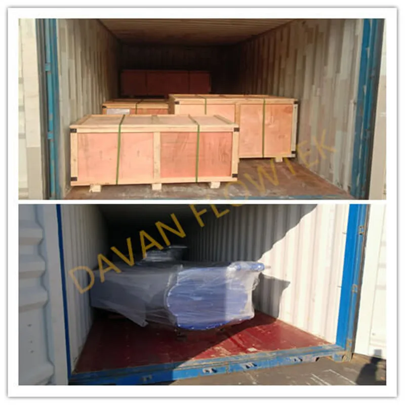 Flanged Wafer Lug Ggg40 Ductile Cast Iron DN300 Pn16 En1092 Water Double Flange Blue Gear Operated Butterfly Valve