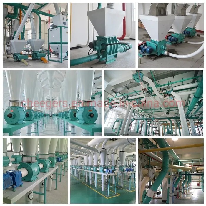 Flow Through Rotary Valve Airlock Powder Drying Rotary Valve