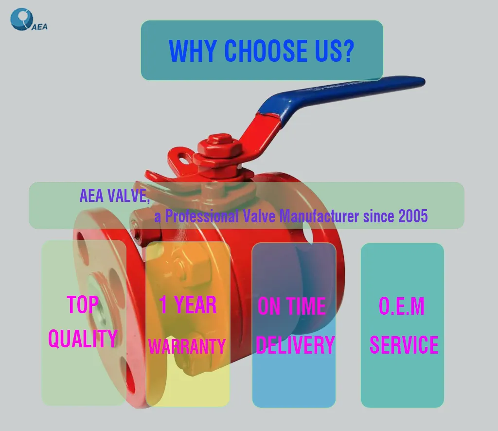 Forged Carbon Steel A105n Body Stainless Steel Ball Side Entry Flange Floating Ball Valve