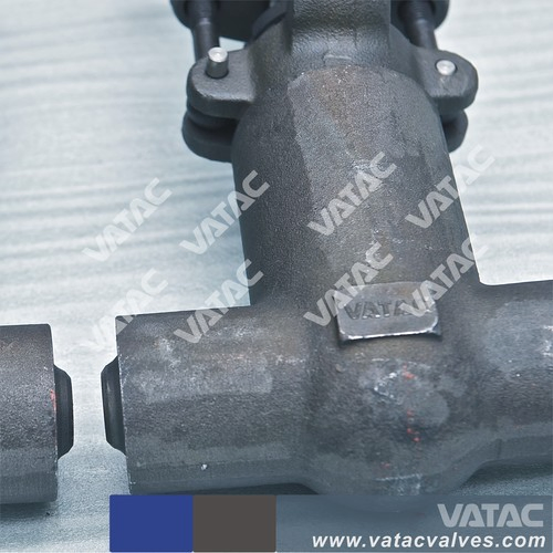 Forged Pressure Seal Bonnet Socket Weld/Thread Gate Valve