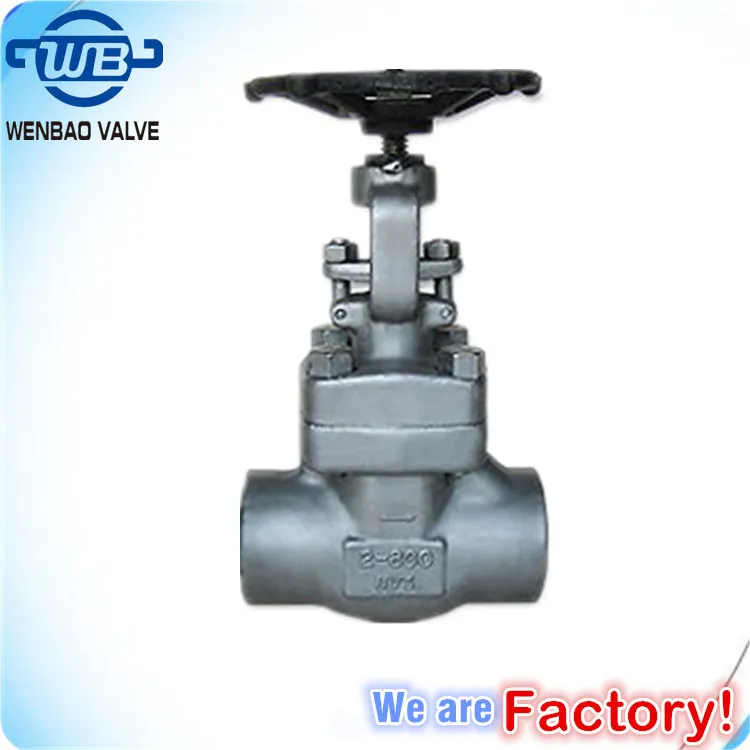 Forged Stainless Steel Flanged Gate Valve Class 150