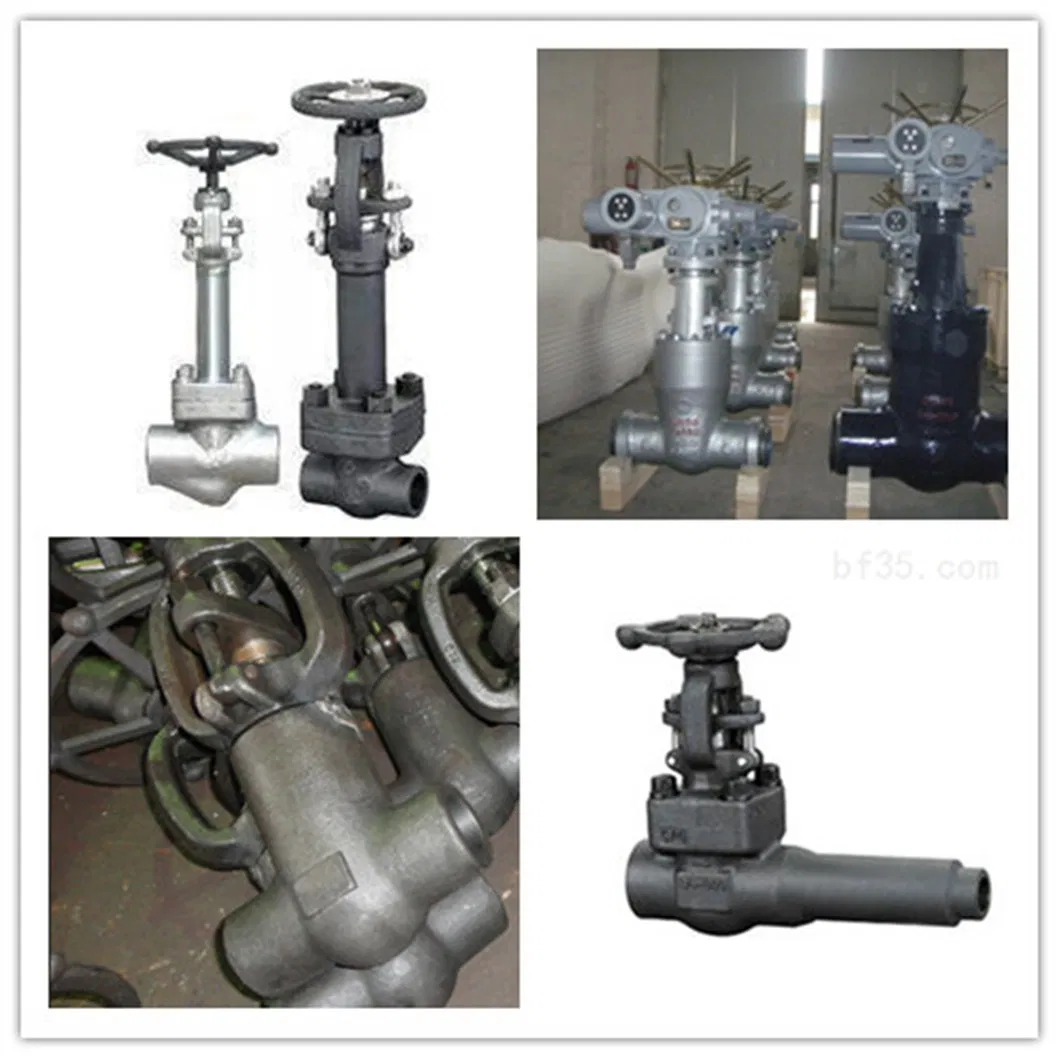 Forged Stainless Steel Flanged Gate Valve Class 150