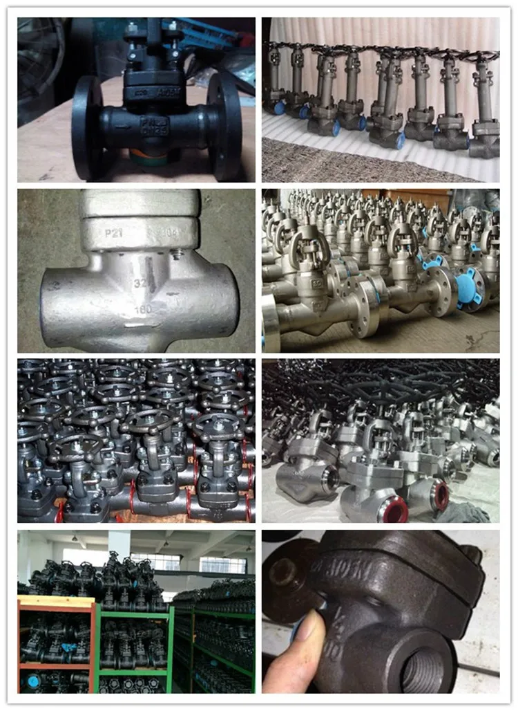 Forged Stainless Steel Flanged Gate Valve Class 150